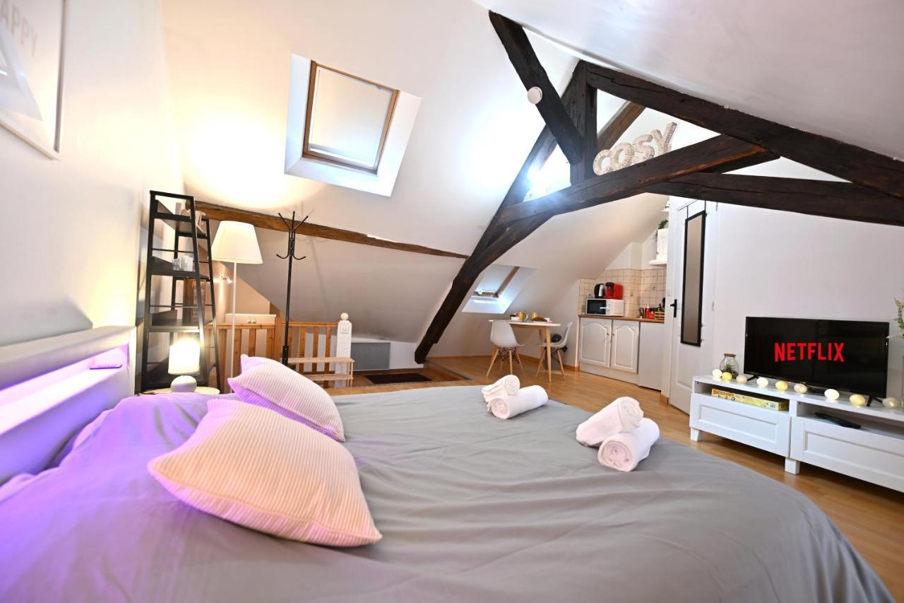 Le Cosy Du Tambour D'Argent Apartamento Sens Exterior foto